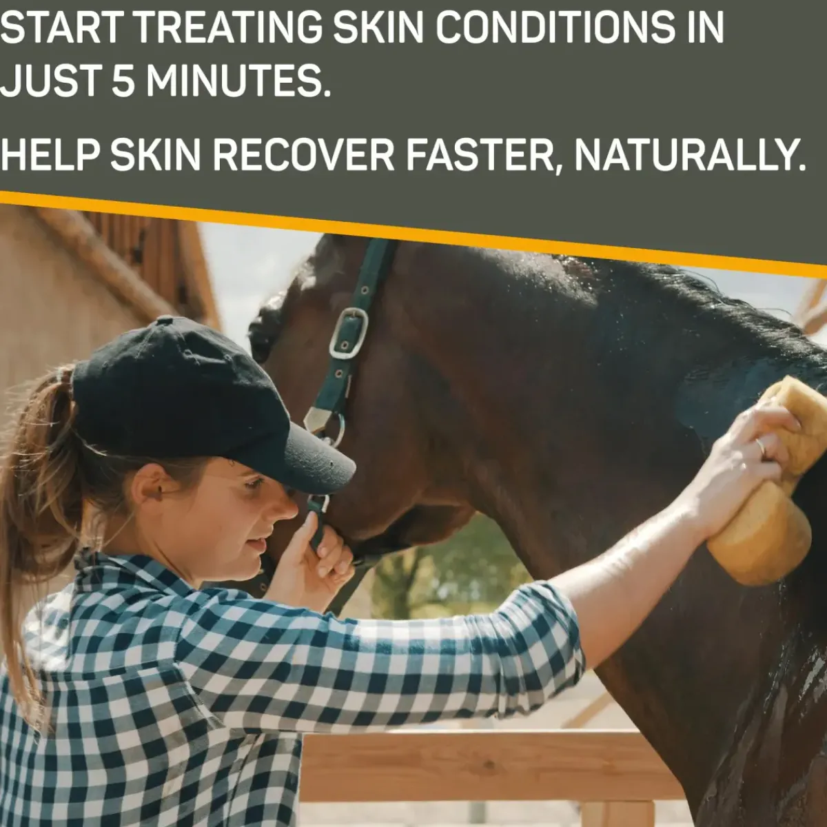 Heimer Absorbine Silver Honey Medicated Shampo< Pelspleie