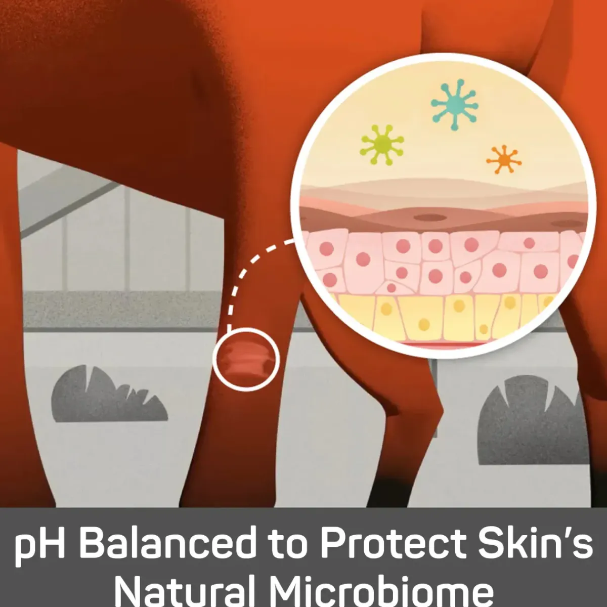 Heimer Absorbine Silver Honey Medicated Shampo< Pelspleie