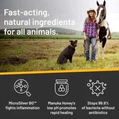 Heimer Absorbine Silver Honey Medicated Shampo< Pelspleie