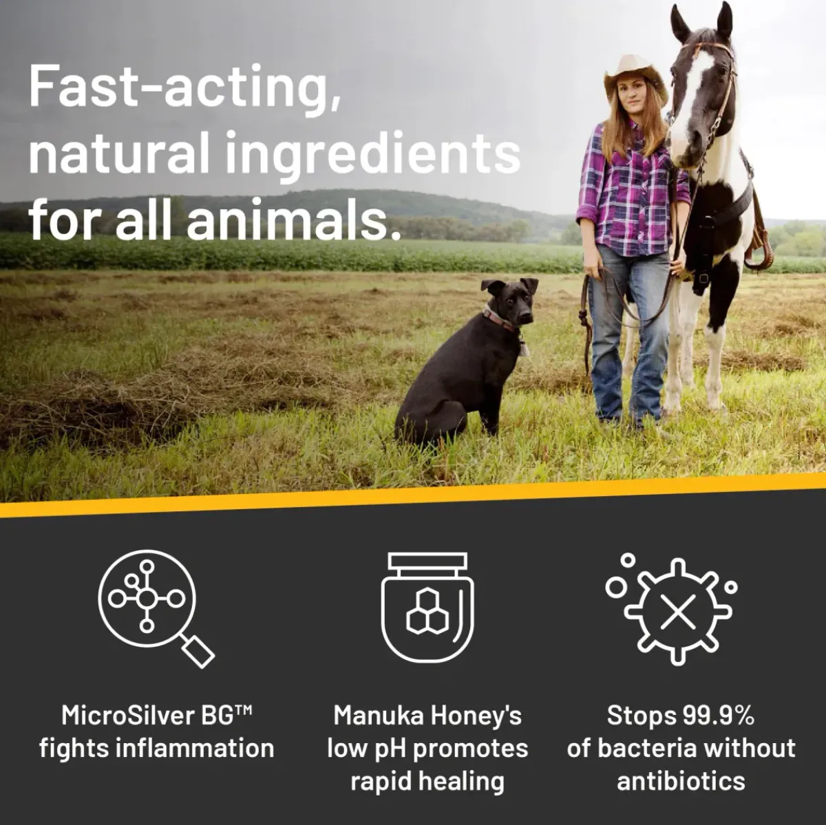 Heimer Absorbine Silver Honey Medicated Shampo< Pelspleie