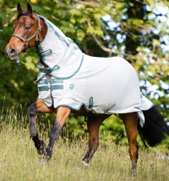 Horseware Ireland Amigo AmECO Bug Rug Fluedekken med hals< Insektsdekken