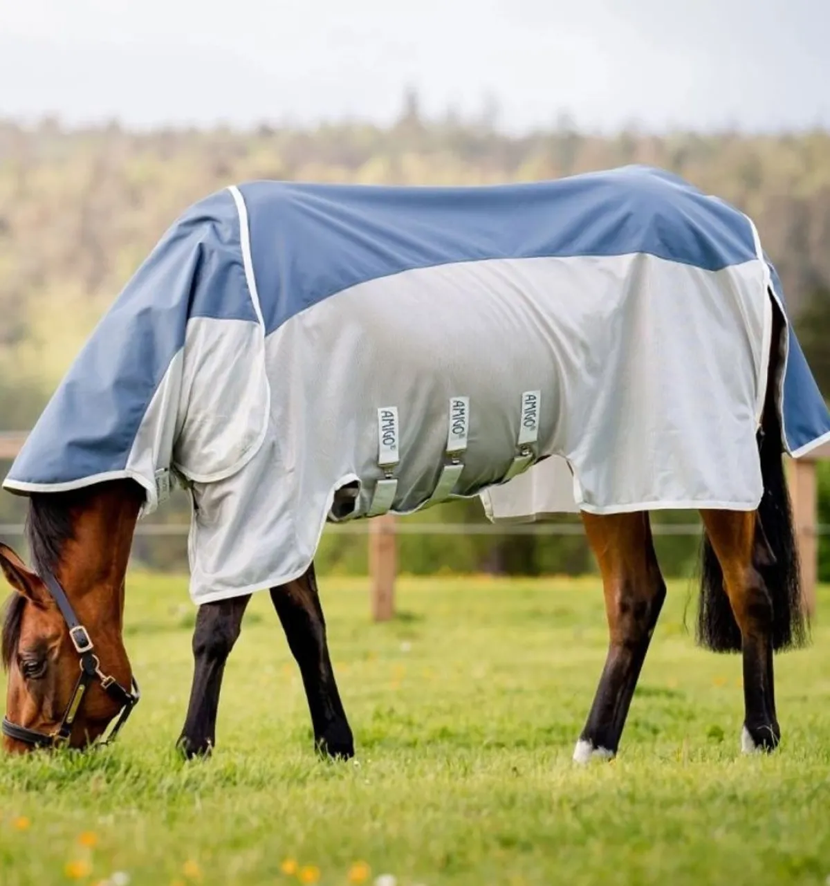 Horseware Ireland Amigo AmECO Combi 0gr< Insektsdekken