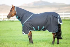 Horseware Ireland Amigo 1200D Ponni Plus 250gr - Navy/Aqua/Turquoise< Regndekken