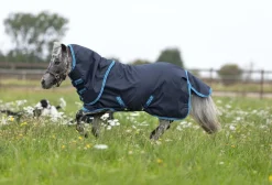 Horseware Ireland Amigo Hero 6 Petite Plus TO Med< Regndekken