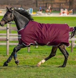 Horseware Ireland Amigo Hero Ripstop 50gr - Flere farger< Regndekken