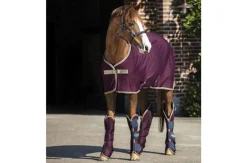 Horseware Ireland Amigo Jersey Cooler - Fig/Navy & Tan< Svettedekken