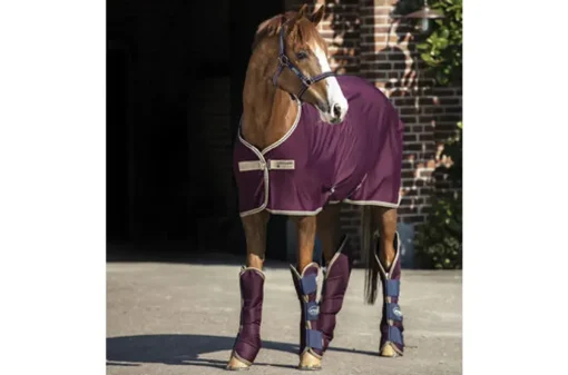 Horseware Ireland Amigo Jersey Cooler - Fig/Navy & Tan< Svettedekken