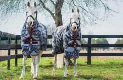 Horseware Ireland Amigo Ponni Plus 200gr< Regndekken