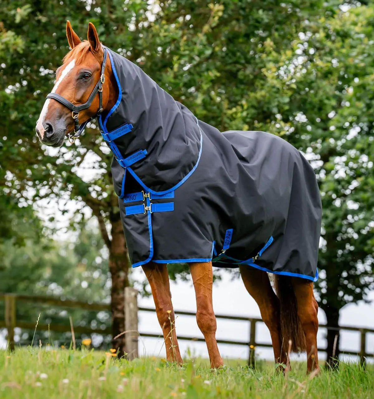 Horseware Ireland Amigo Ripstop 900D Plus 100g - Black/Classic Blue< Regndekken