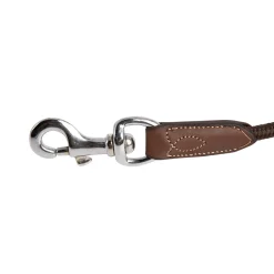 Antares Hundekoppel< Hund