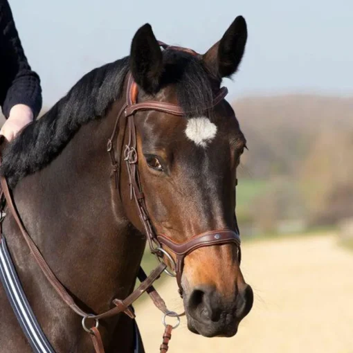 Antares Precision Hodelag med Y-nesereim< Hodelag