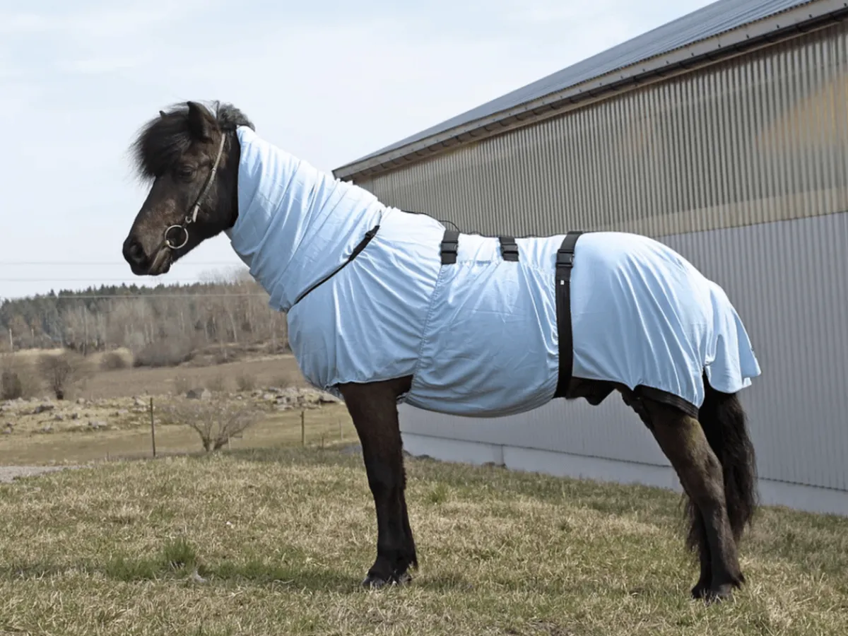 Boett Orginale Eksemdekken< Insektsdekken