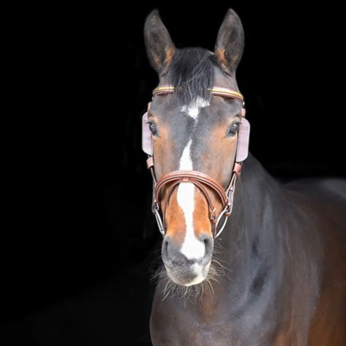 By Equalityline Fokus Sidestykker - Brun & Sort< Tilbehør Til Hodelag