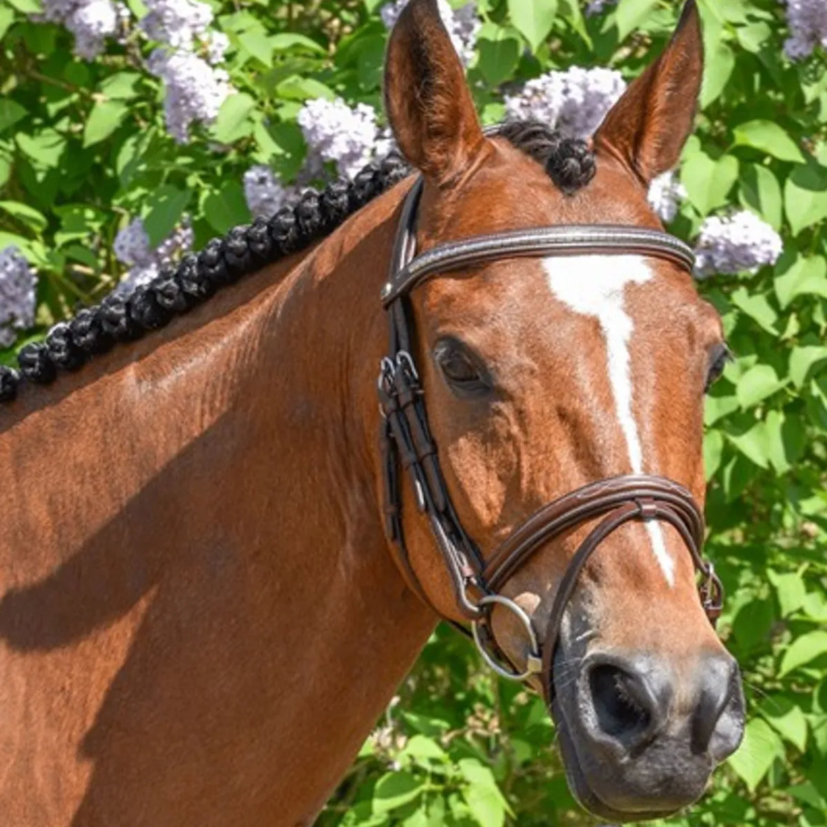 By Equalityline Thamar Kombinert Hodelag - Sølv< Hodelag