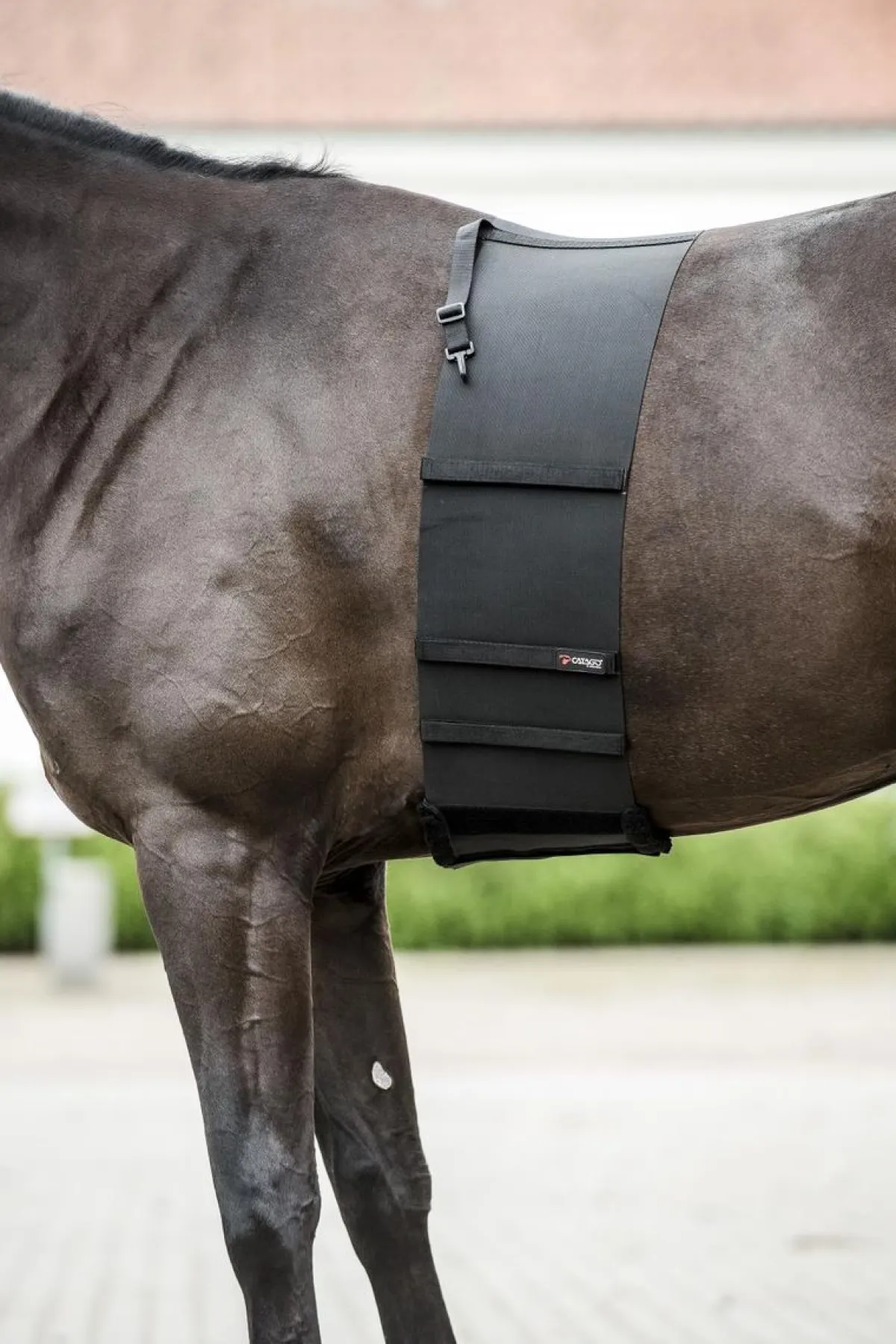 Catago Body Shield< Diverse Tilbehør Til Sal