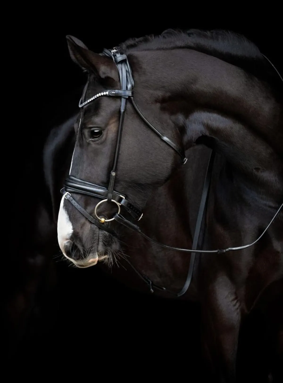 Catago Shay Rundsydd Hodelag< Hodelag