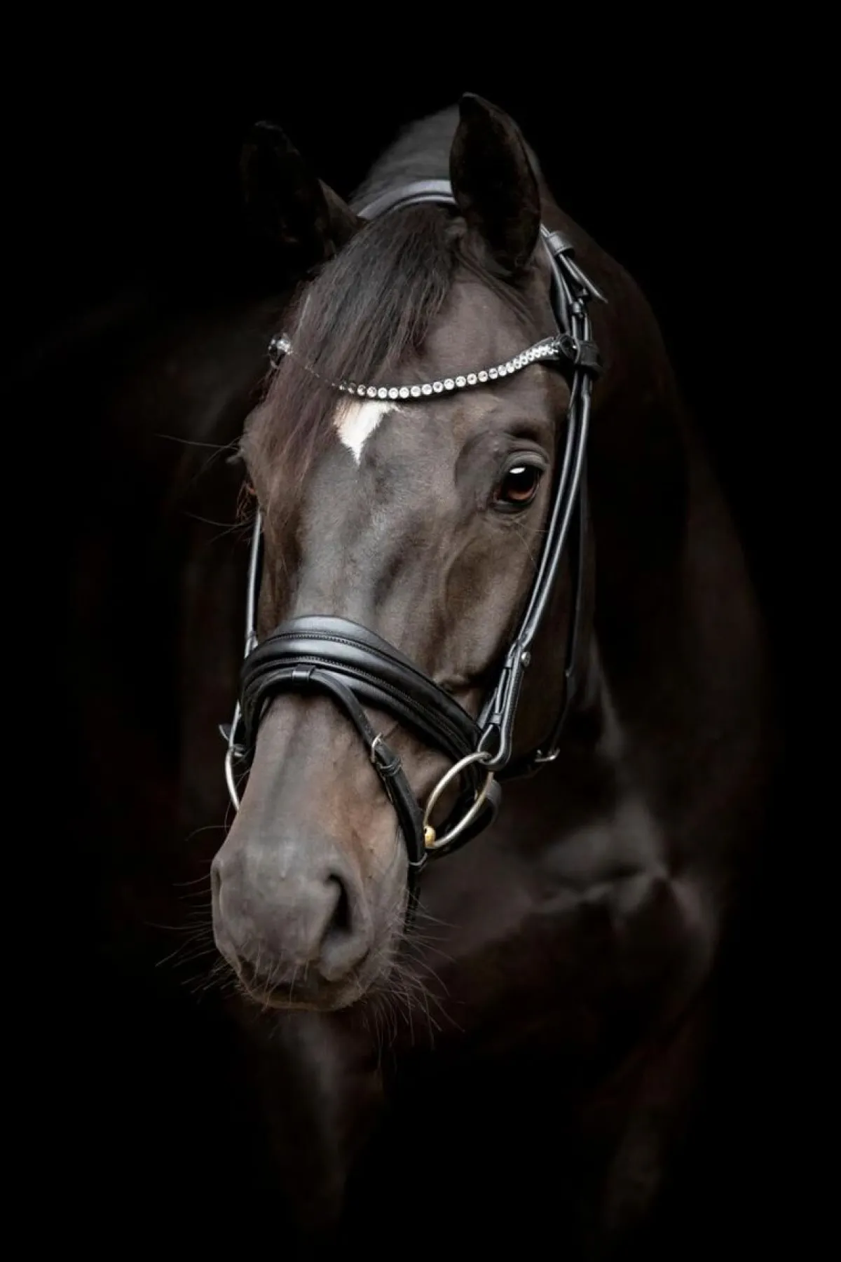 Catago Shay Rundsydd Hodelag< Hodelag