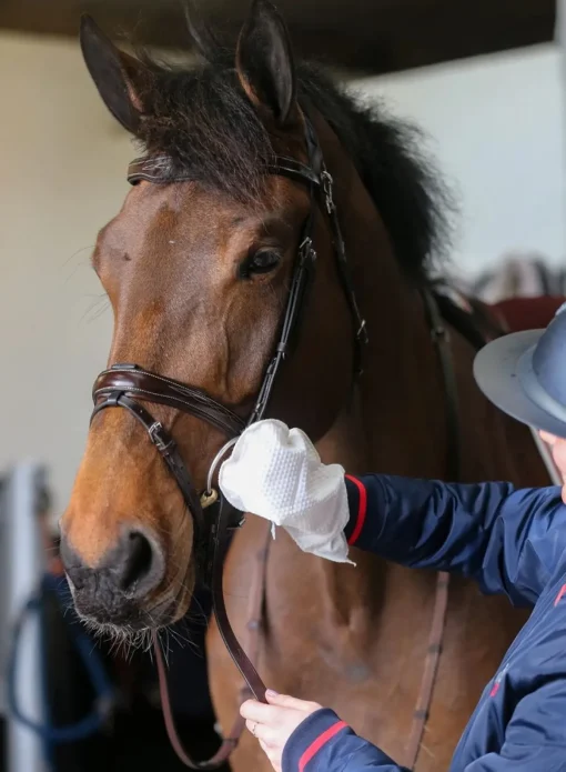 Carr, Day & Martin CDM Belvoir Tack Cleaner Wipes< Lærpleie
