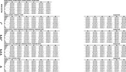 DeNiro Bellini Dressur støvler Brushed< Ridestøvler