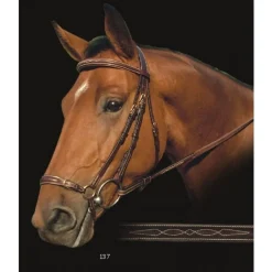 Dyon* Dyon anatomisk hodelag med remonte nesereim - DC< Hodelag