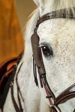 Dyon fokus sidestykker< Tilbehør Til Hodelag