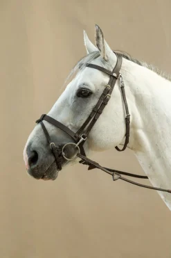 Dyon Hodelag med flat engelsk nesereim - Working Collection< Hodelag