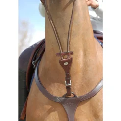 Dyon Kort elastisk martingal - Collection< Fortøy Og Martingal