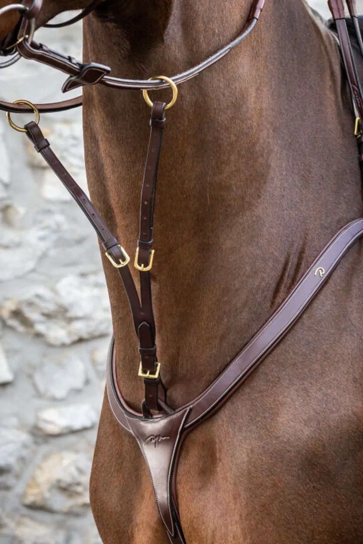 Dyon Kort Martingal - Collection< Fortøy Og Martingal