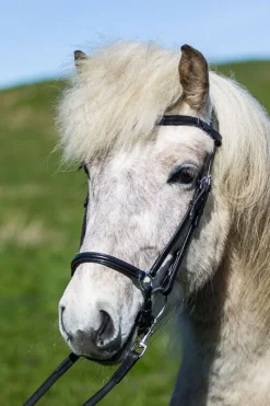 Eques Bølge-formet Pannebånd i Lær< Pannebånd