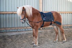 Eques Core trainer Longering System< Longering