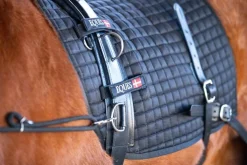 Eques Core trainer Longering System< Longering