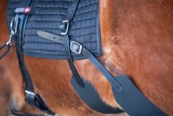 Eques Core trainer Longering System< Longering