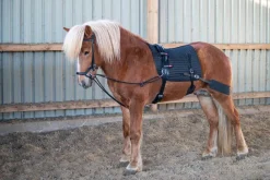 Eques Core trainer Longering System< Longering