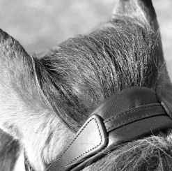 Eques Fleksibel Nakkereim< Islandshest Hodelag