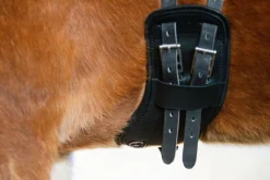 Eques Flex Balance Gjord< Islandshest Gjord