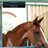 Equiline Hodebeskytter til boks< Stallutstyr