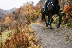 Equine Fusion Active Jogging Shoe< Boots