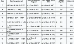 Equine Fusion Active Jogging Shoe< Boots