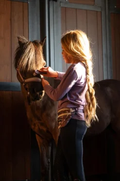 Equipage Bumbag Montana Grape< Accessories