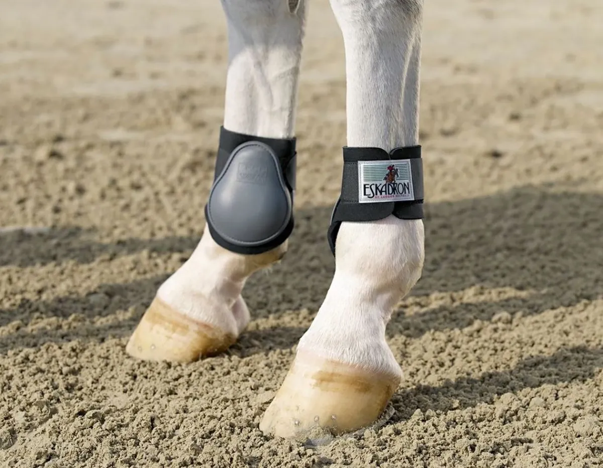 Eskadron bakbensbeskyttere - Ponni< Belegg