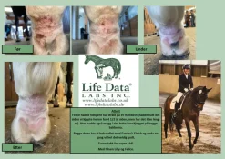 Heimer Farrier's Finish Life Data< Hovpleie