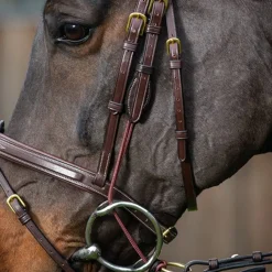 Dyon Gagstrap med avtagbar ring - Collection< Tilbehør Til Hodelag