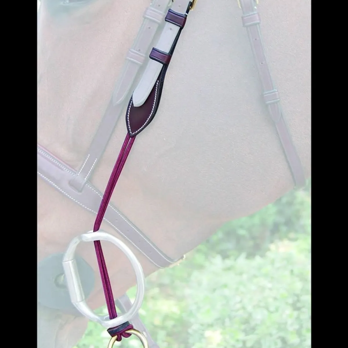 Dyon Gagstrap med avtagbar ring - English Collection< Tilbehør Til Hodelag