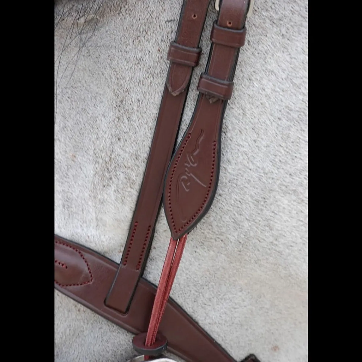 Dyon Gagstrap med avtagbar ring - English Collection< Tilbehør Til Hodelag