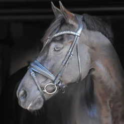 By Equalityline Helix Dressur Hodelag< Hodelag