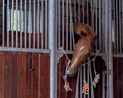 QHP Hesteleke oppheng< Hesteleker