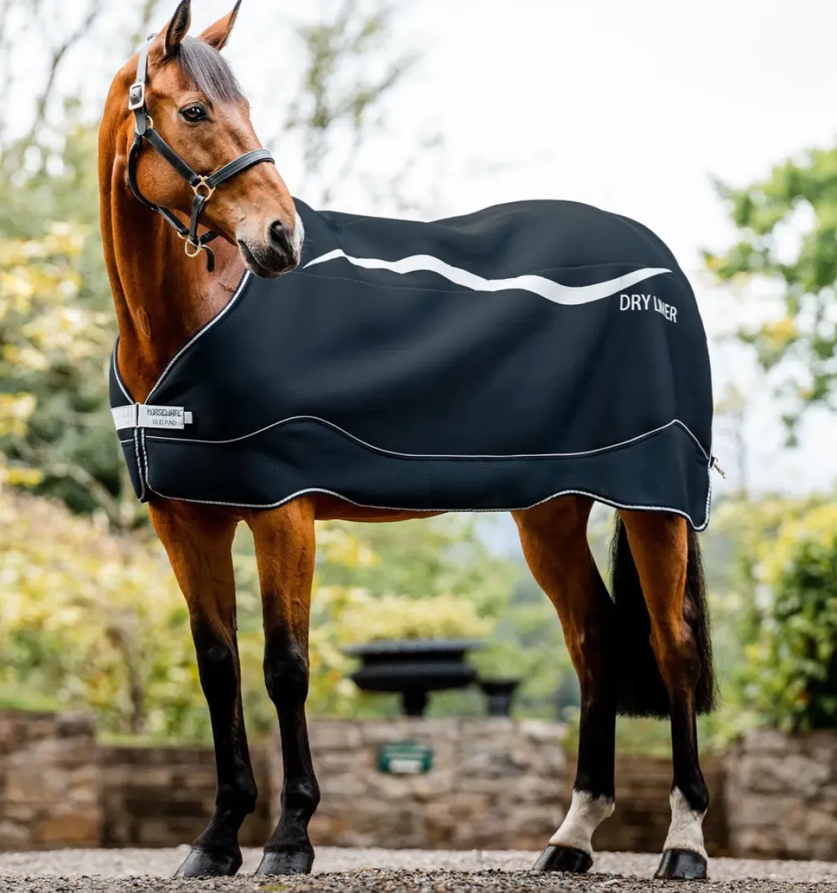 Horseware Ireland Horseware Dry Liner - Navy/Silver< Linere
