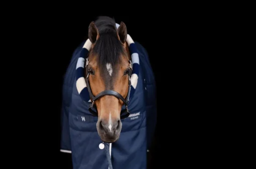 Horseware Ireland Horseware Newmarket Cosy Stable 100g< Stalldekken