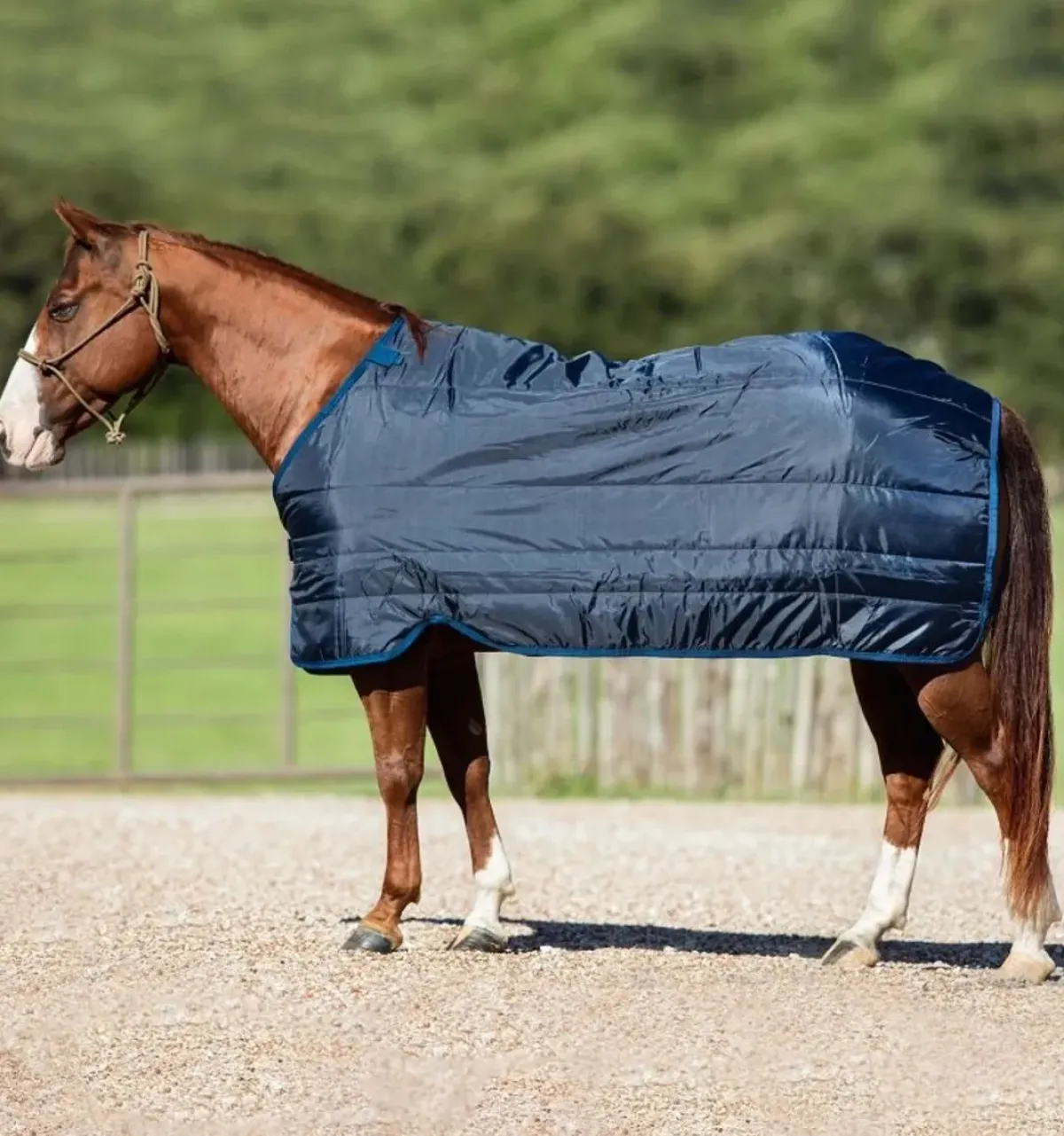 Horseware Ireland Horseware Ponni Liner 400g< Linere