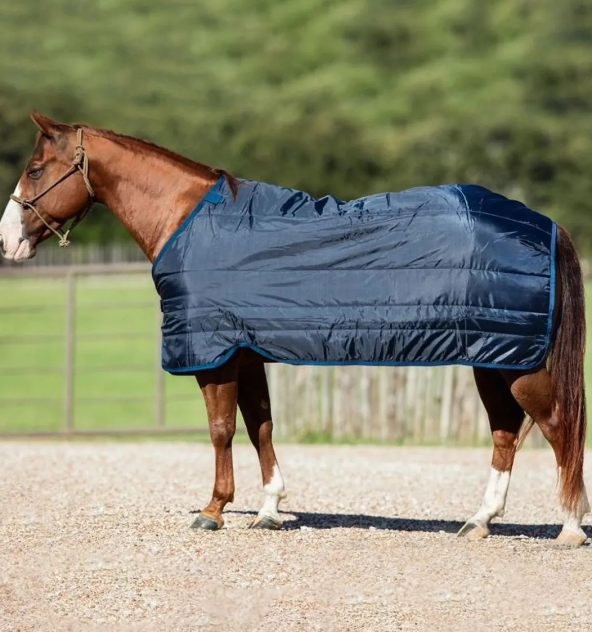 Horseware Ireland Horseware Ponni Liner 300g< Linere